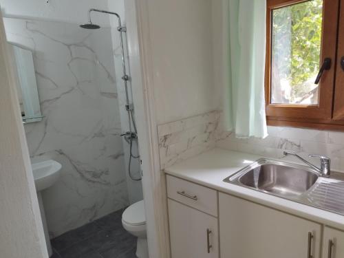 a bathroom with a sink and a toilet and a shower at "Patra's" Apartments Patra in Poseidónion