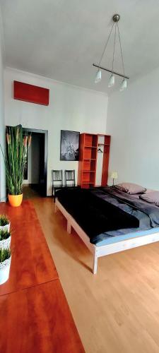 a large bedroom with a large bed in a room at City center apartment in Sopron