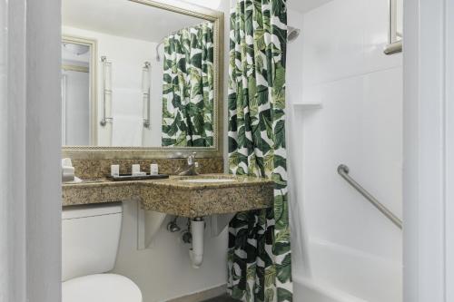 a bathroom with a sink and a mirror at Holiday Inn Hotel Port of Miami-Downtown, an IHG Hotel in Miami