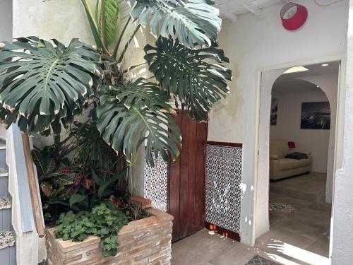 Afbeelding uit fotogalerij van Charming apartment in historic center Tarifa in Tarifa