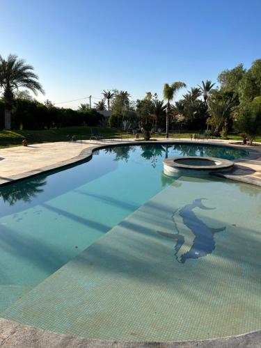 a swimming pool with a reflection in the water at Villa Madina in Dar Caïd Layadi