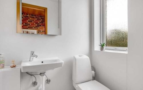 een witte badkamer met een wastafel en een toilet bij 6 Room Holiday House, Private Garden, legohouse, legoland, lalandia, in Billund