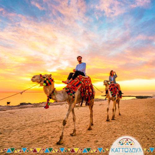 two people riding on camels on the beach at Kato Dool Wellness Resort in Aswan