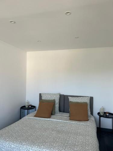 een bed met twee kussens in een kamer bij Duplex lumineux rénové avec terrasse et bains de soleil in Cannes