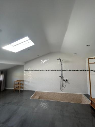 een badkamer met een douche in de kamer bij Duplex lumineux rénové avec terrasse et bains de soleil in Cannes