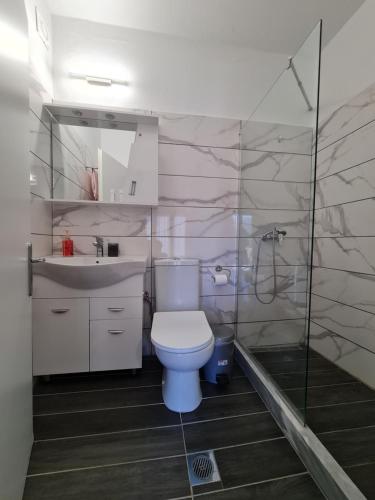 y baño con aseo, lavabo y ducha. en Zigos Apartments, en Igoumenitsa