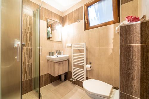 a bathroom with a toilet and a sink and a window at Penzión Zunama in Bardejovské Kúpele
