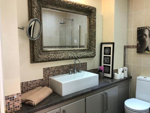 ein Badezimmer mit einem weißen Waschbecken und einem Spiegel in der Unterkunft The Vines Lodge luxury apartment in Cleethorpes