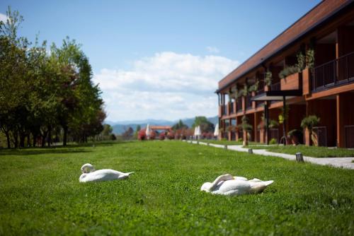 Un paisaje natural cerca del hotel