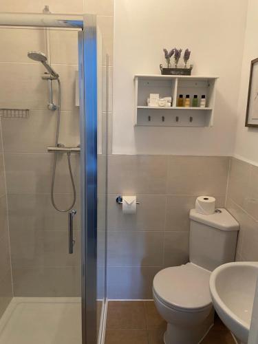 a bathroom with a shower and a toilet and a sink at Trumbles Gatwick B&B in Charlwood