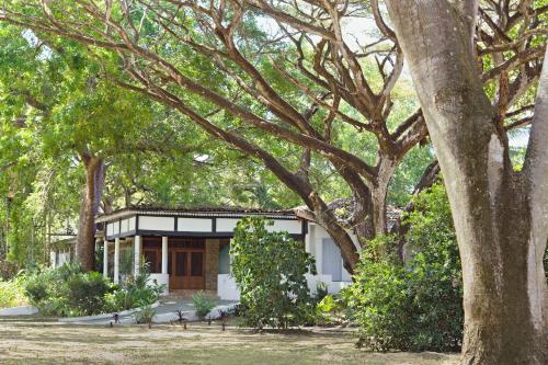 a small house in the middle of trees at Villa Marina Lodge & Condos in Playa Venao