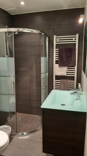 een badkamer met een douche, een wastafel en een toilet bij La maison de Lili in Guebwiller