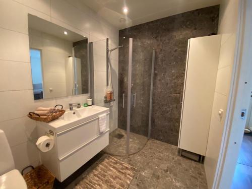 a bathroom with a white sink and a shower at Cozy modern studio apartment stay in Falkenberg