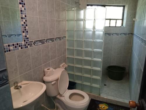 ein Bad mit einem WC und einem Waschbecken in der Unterkunft Apartamento vacacional piscina in Nariño