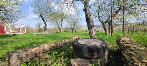 a stack of logs in a field with trees at Будинок з Терасою Біля Фонтанів in Umanʼ