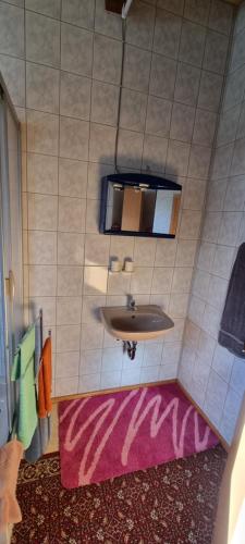 a bathroom with a sink and a pink rug at Wasserskianlage Eilenburg in Eilenburg