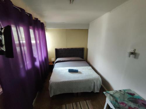 1 dormitorio pequeño con cama y cortinas moradas en VidaNatural, en Santiago