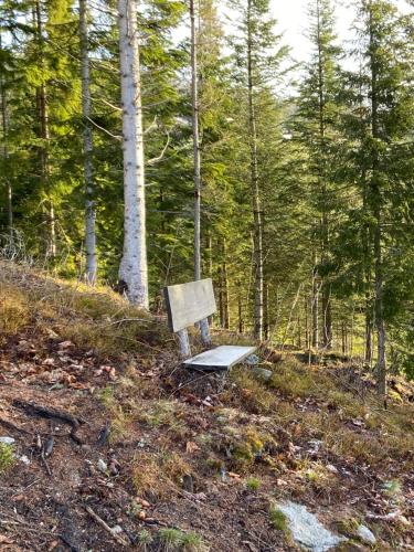 a bench sitting on a hill in the woods at Blockhaus Waldspiel -Adults Only in Ratten