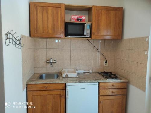 a small kitchen with a sink and a microwave at Apartments Nino in Štivan