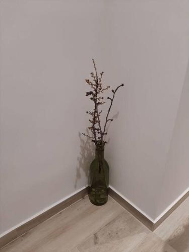 a vase with a plant in it sitting on a floor at ACENI in Ciudad Real