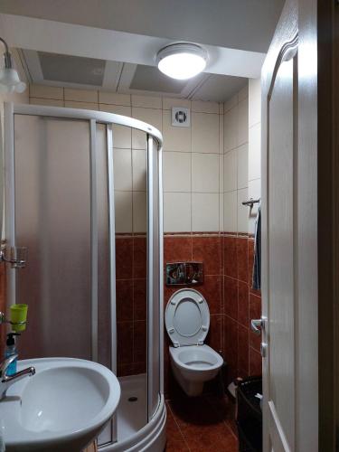 Ванная комната в Apartment Rozino