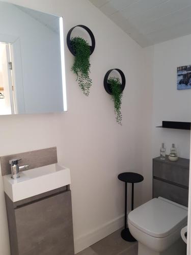 a bathroom with a toilet and a sink and mirrors at The Lodge in High Legh