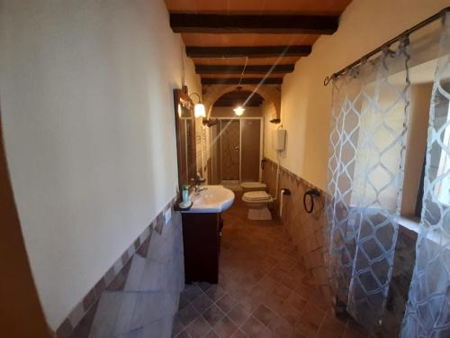 een badkamer met een wastafel en een toilet in een kamer bij Agriturismo La valle del Monte Aquilaia in Arcidosso