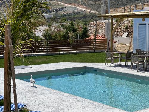 a pool with a bird standing next to a table at Grande Blue Suites with private bay in Archangelos