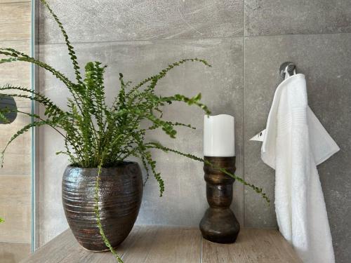 a plant in a vase on a table in a bathroom at Art Guesthouse Olla in Selfoss
