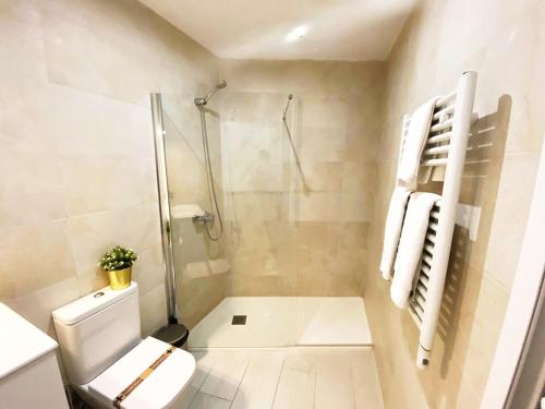 La salle de bains blanche est pourvue d'une douche et de toilettes. dans l'établissement Apartamento de Diseño en Plaza Mayor, à Madrid