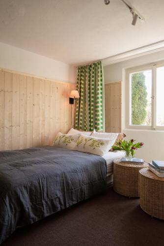 a bedroom with a large bed and a window at Bodensee Apartments, Sauna, Lake Walks, Free Parking, Self Checkin, Nature Reserve, Restaurants Nearby in Gaißau