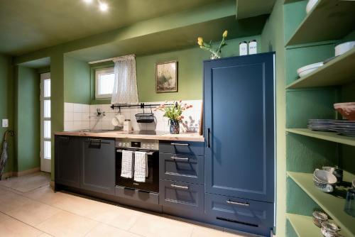 a kitchen with green walls and a blue door at Bodensee Apartments, Sauna, Lake Walks, Free Parking, Self Checkin, Nature Reserve, Restaurants Nearby in Gaißau