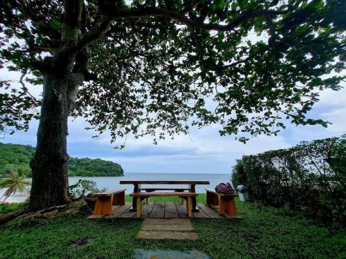 a picnic table under a tree next to the water at Anatta The Cliff House in Chanthaburi