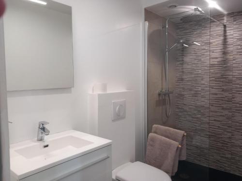 a white bathroom with a sink and a shower at Angers, La Belle De Maine in Angers