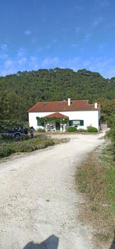 een wit huis met een weg voor een berg bij AL- Quinta dos Carvalhais in Rio Maior