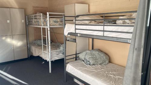 a room with three bunk beds and a bed at Pemberton Hostel - note - Go to Gloucester Motel Reception for check in - Backpackers 88 days farm work available in the Manjimup and Pemberton Region in Pemberton