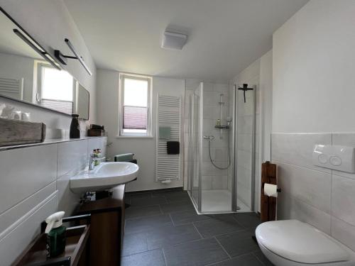 a bathroom with a sink and a shower and a toilet at M96 Ferienwohnung in Seßlach