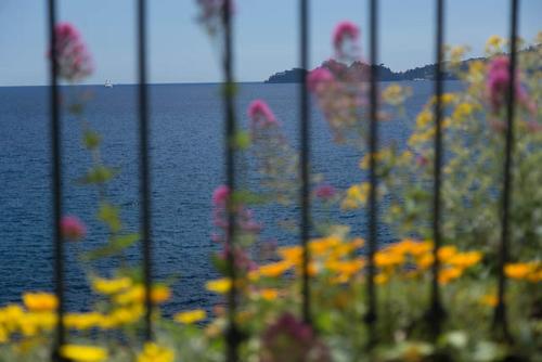The best view in the world! – Photos 3