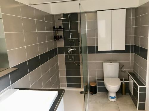 łazienka z prysznicem, toaletą i umywalką w obiekcie Gîte plain-Pied avec jardin du Centre Alsace w mieście Ebersheim