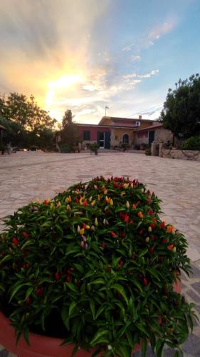 B&B Mare Calabria – Photos 4