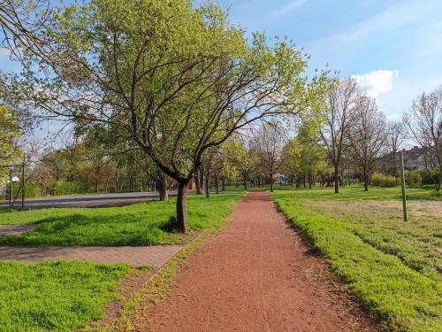 Un jardín fuera de Patyo vendégház Orosháza