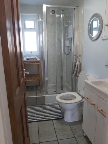 a bathroom with a shower and a toilet and a sink at Family stay by the beach in Chwilog