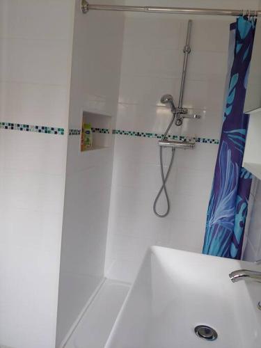 une salle de bain blanche avec une douche et un lavabo dans l'établissement Studio cocooning, à Le Porge