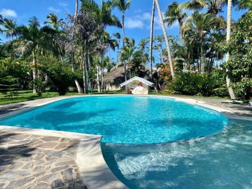 a large blue swimming pool with palm trees in the background at Beautiful 1 Bedroom Apartment in Paradise / WIFI in Las Terrenas