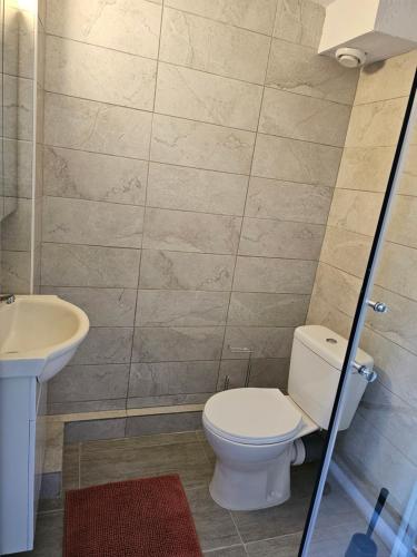 a bathroom with a toilet and a sink at Music Vir Apartment in Vir