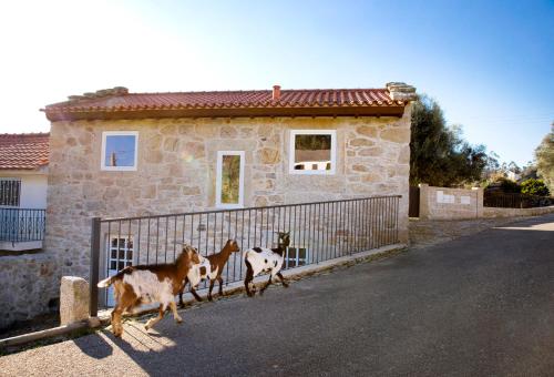 three goats crossing a fence in front of a house at Tio Zé - Casas de Selim in Arcos de Valdevez