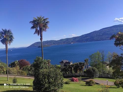 a view of a large body of water with palm trees at Villetta Primavera in Verbania