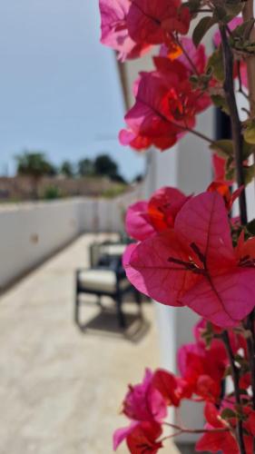 a bunch of pink flowers in front of a chair at OPUNTIA Hotel Boutique in Mijas