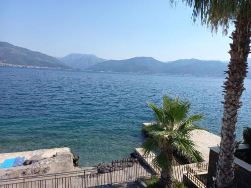 a view of a large body of water with palm trees at Ksenija apartman uz more in Krasici