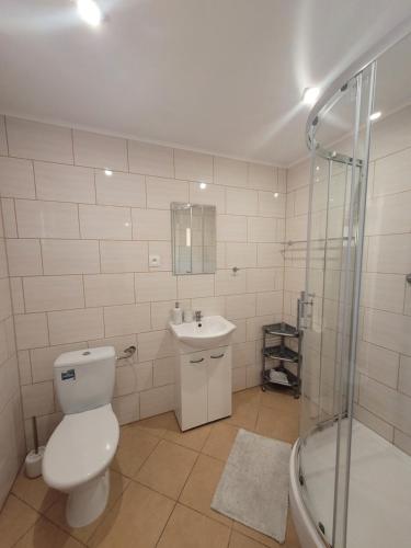 ダルウフコにあるApartament i Pokoje Gościnne MUSZELKAのバスルーム(トイレ、洗面台、シャワー付)